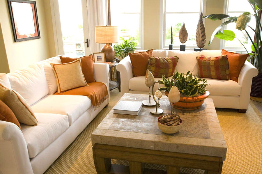 Οικολογικός Καθαρισμός Σαλονιού